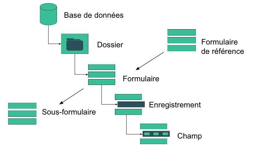 Database structure in ActivityInfo