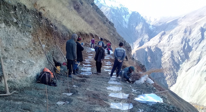 Terracing and Tree Planation in Darwaz, Badakshan