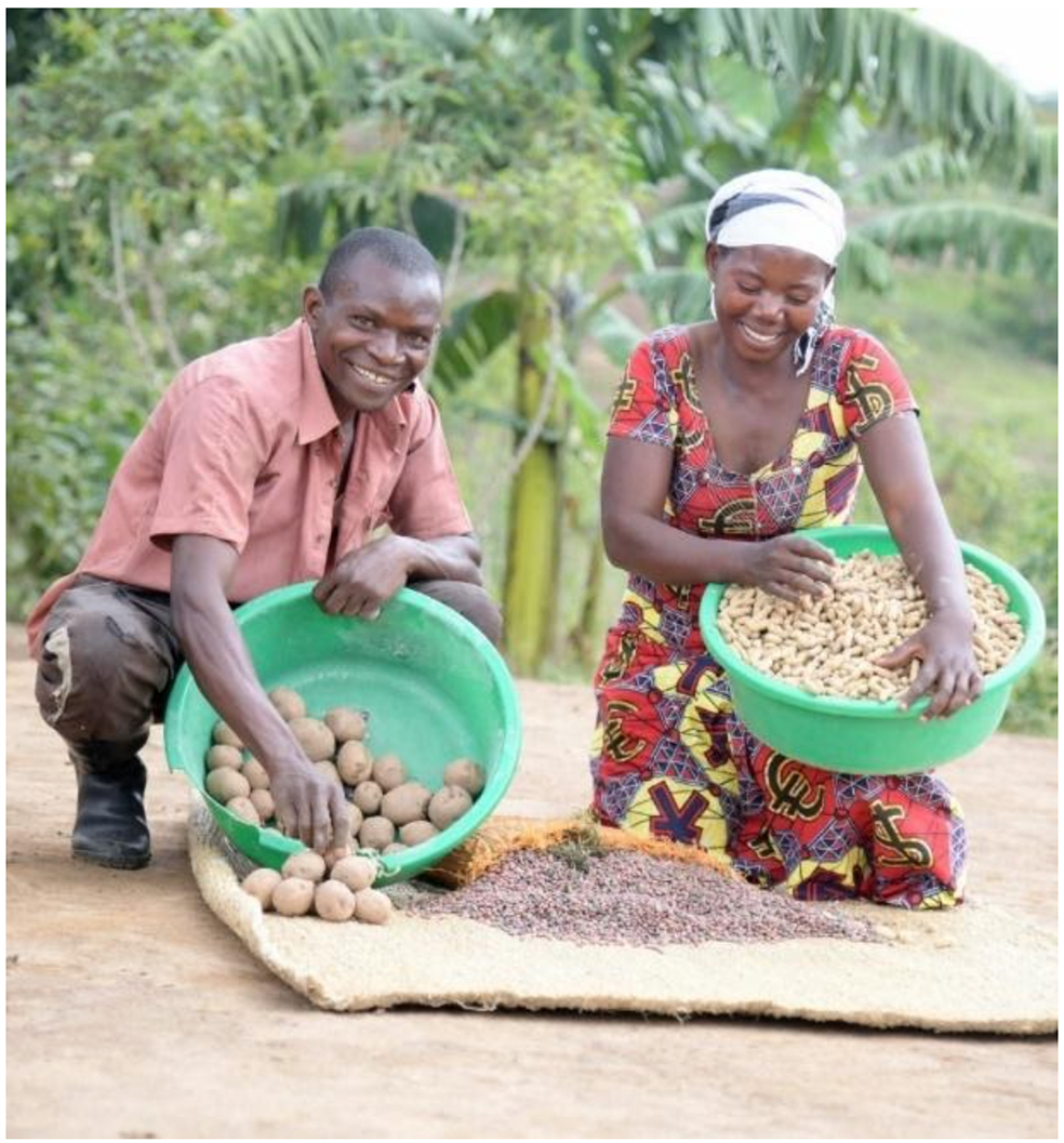 Graduating to Resilience Livelihood Activities in Uganda - Livelihood/Business Activities