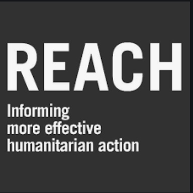 REACH Initiative  Logo
