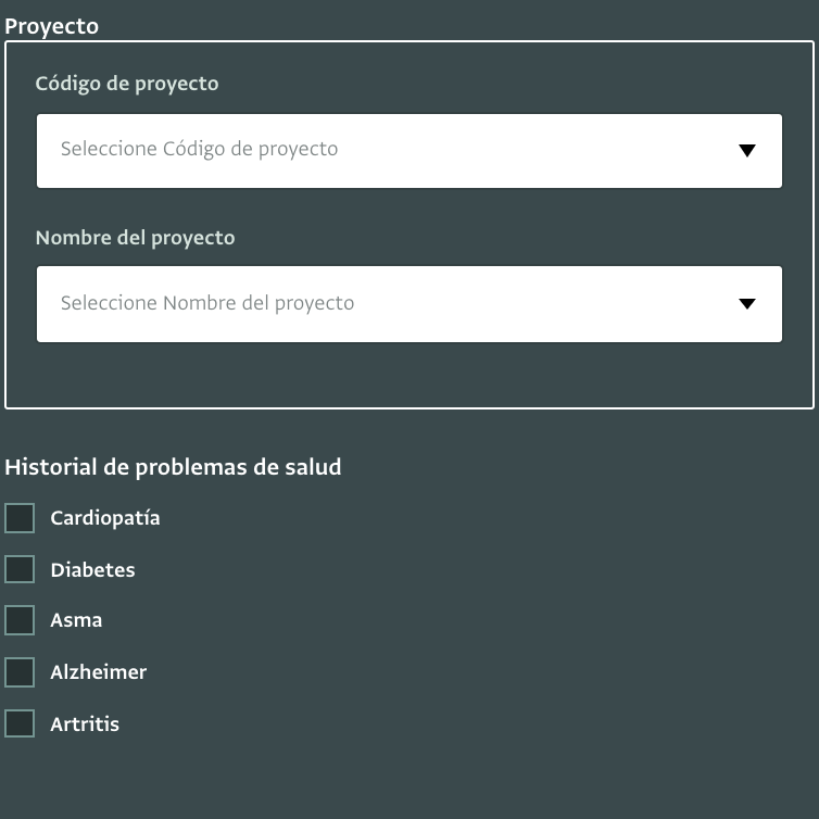 Screenshot of a data entry form in Spanish