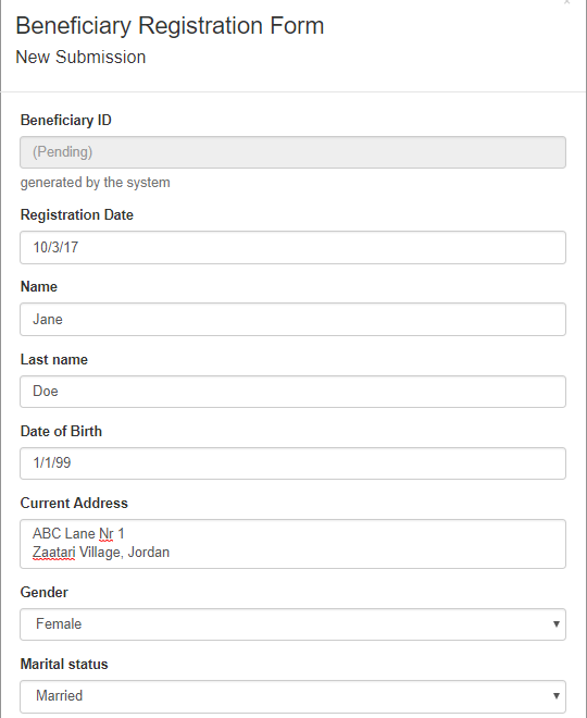 Screenshot of an example beneficiary registration form in ActivityInfo