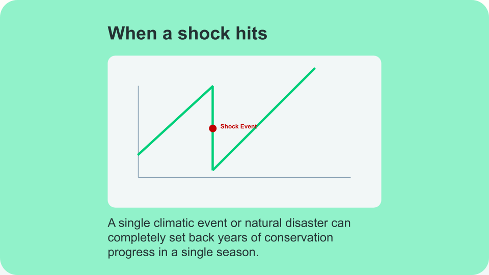 External shocks