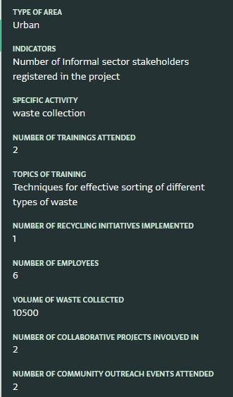 Example of record in Informal sector engagement tracking subform