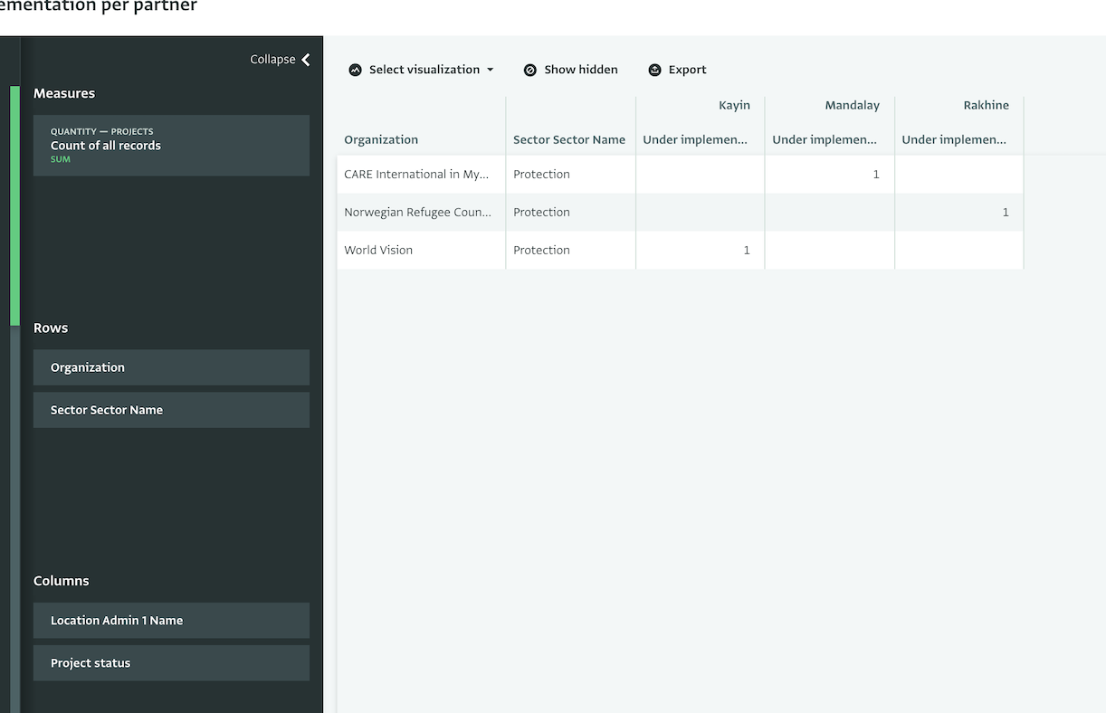 Add a Pivot Table to the Notebook - All projects by partner and geographic location for the Protection sector