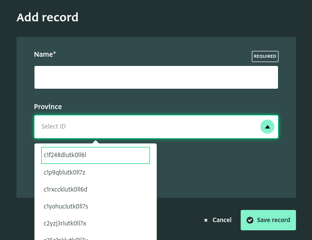 What users see when no Record labels or Key fields are defined
